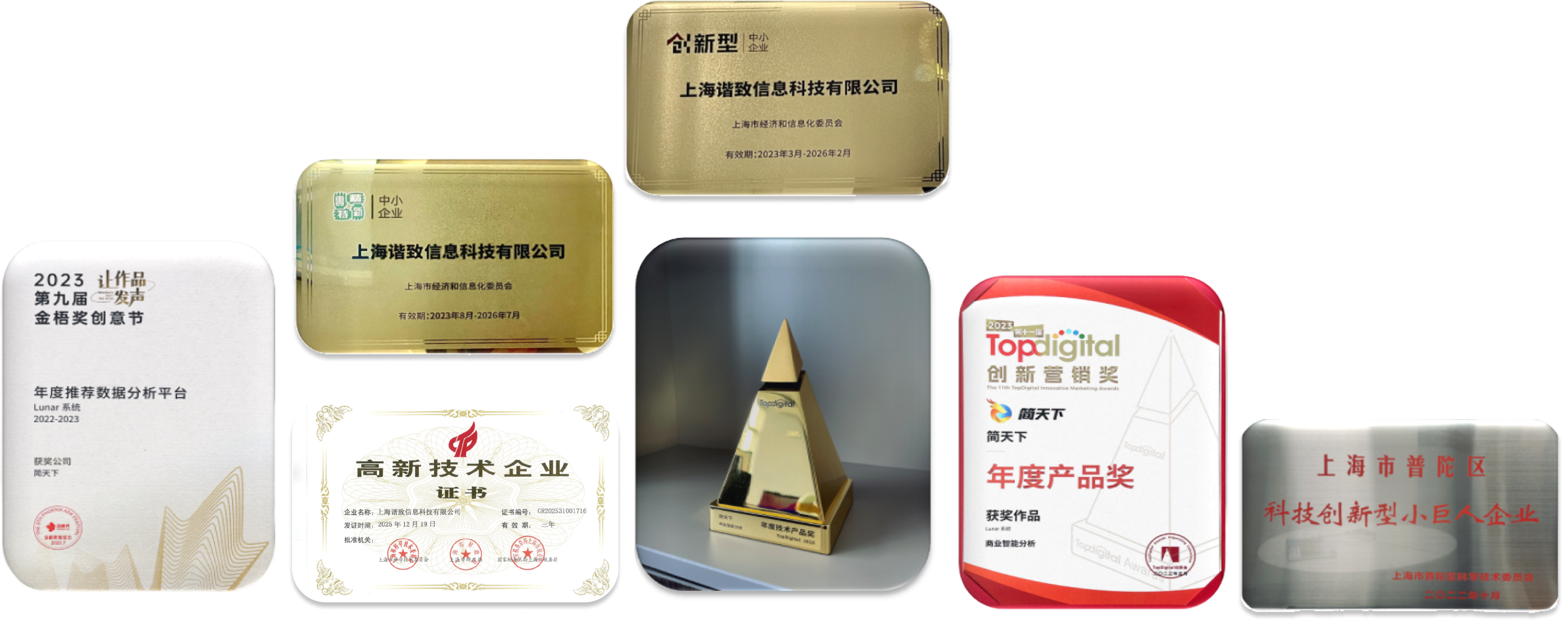 荣誉展示